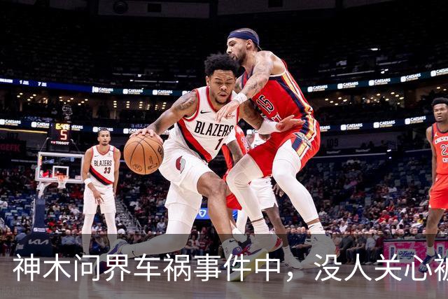神木问界车祸事件中，没人关心被烧死的那个人